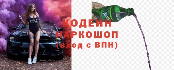амф Гусиноозёрск