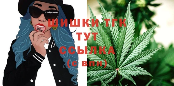 меф Гусев
