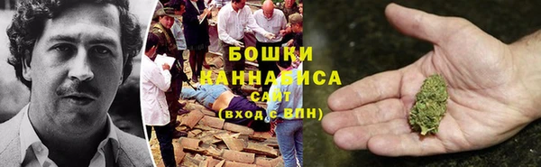 амф Гусиноозёрск