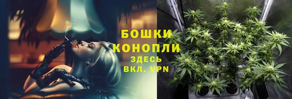 меф Гусев